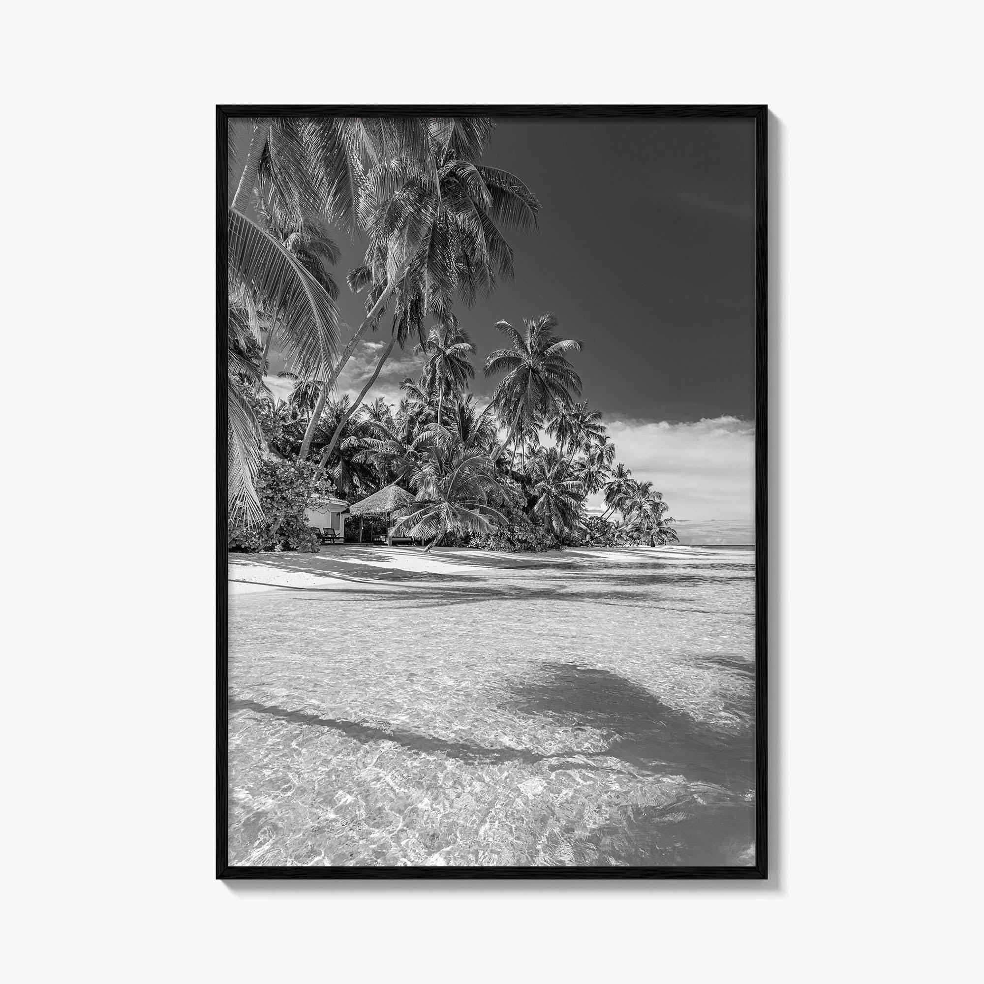 The Bahamas Black and White Fine Art Photo Print, Palm Trees, Caribbean, Nassau Poster