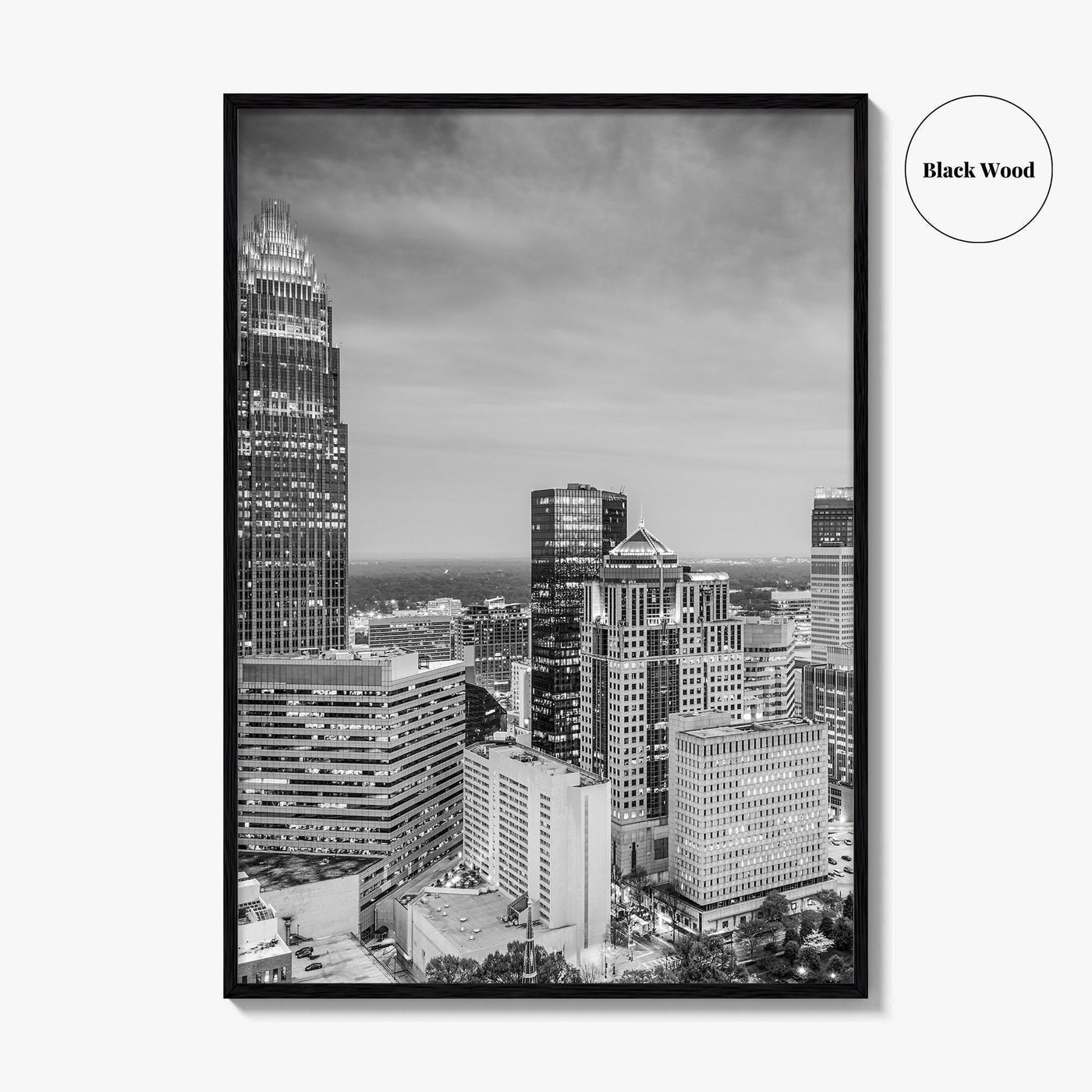 Charlotte Skyline Black and White Fine Art Photo Print, Uptown North Carolina Poster
