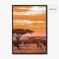 Serengeti Fine Art Photo Print, Tanzania Wall Poster, African Savanna, Acacia Trees
