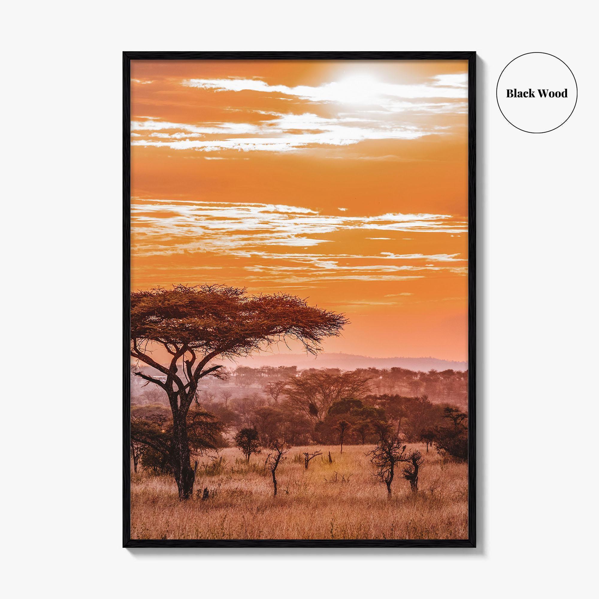 Serengeti Fine Art Photo Print, Tanzania Wall Poster, African Savanna, Acacia Trees