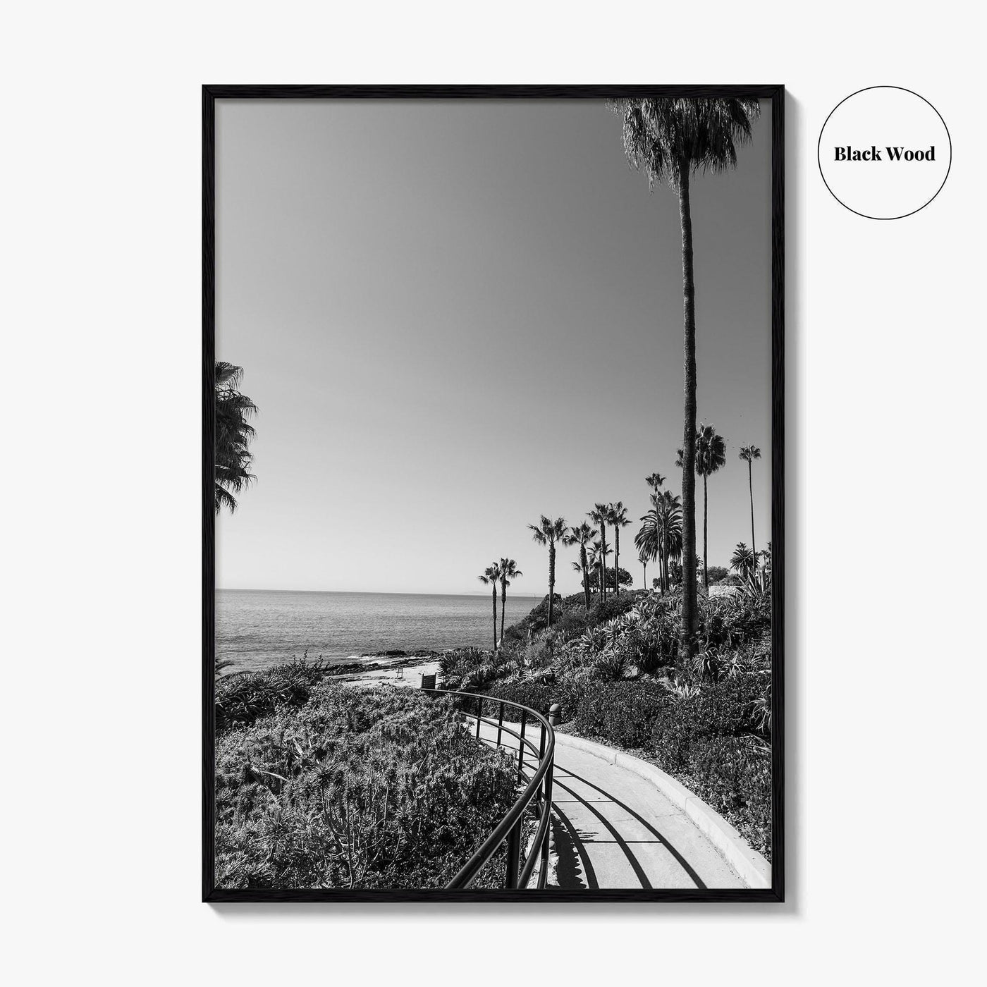 Laguna Beach Black and White Fine Art Photo Print, Orange County, California, USA
