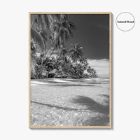 The Bahamas Black and White Fine Art Photo Print, Palm Trees, Caribbean, Nassau Poster