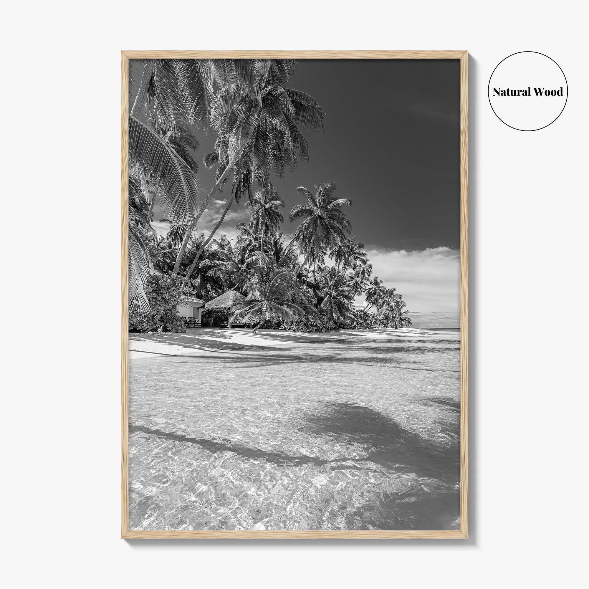 The Bahamas Black and White Fine Art Photo Print, Palm Trees, Caribbean, Nassau Poster