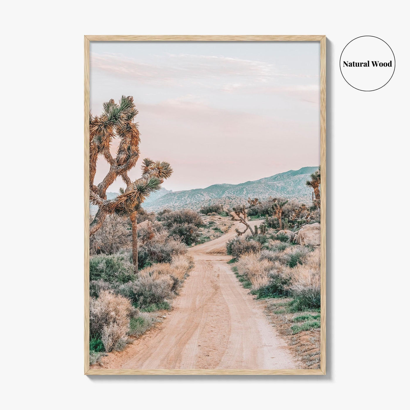 Joshua Tree National Park Fine Art Photo Print, Pioneertown Mountains Preserve, Mojave Desert Poster