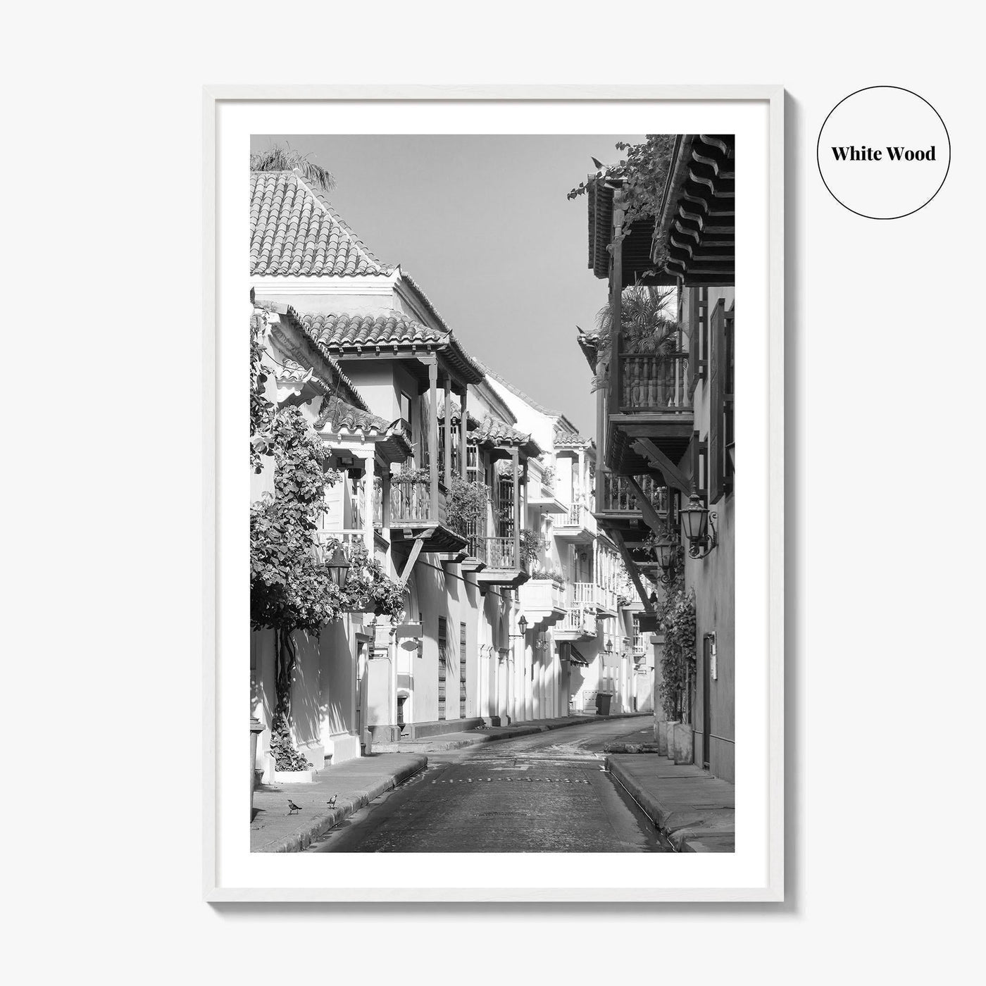 Cartagena Black and White Fine Art Photo Print, Colombia Colonial Street Poster