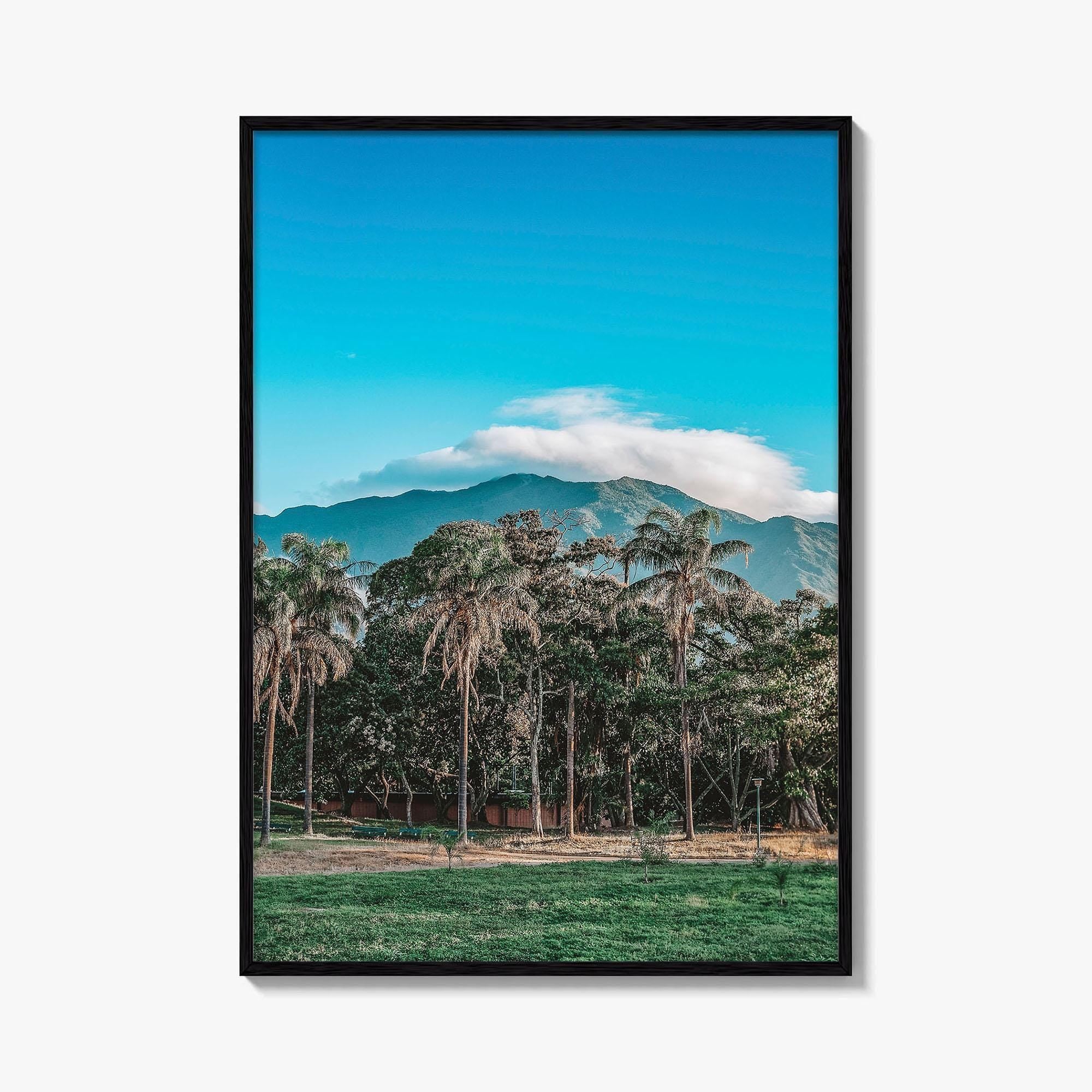 Caracas Fine Art Photo Print, Venezuela Wall Art, Avila Mountain Parque del Este