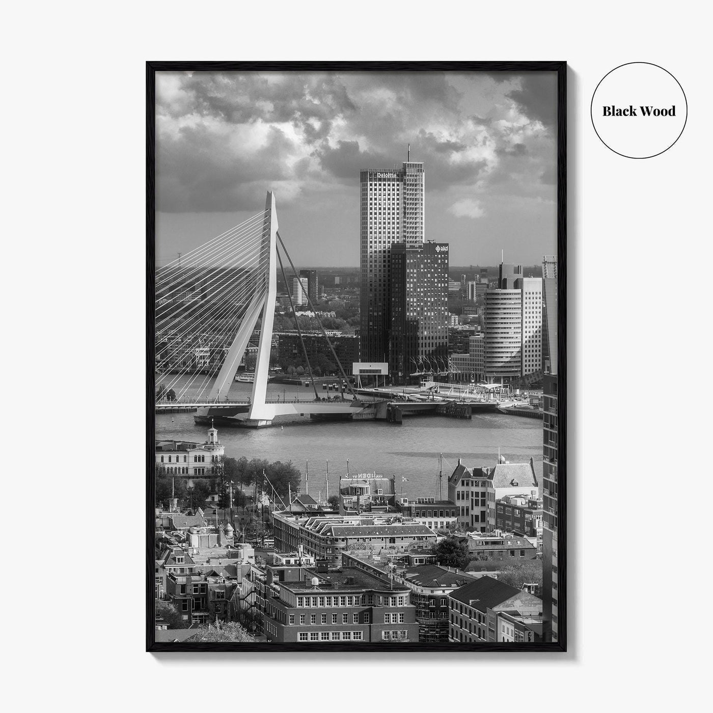 Rotterdam Skyline Black and White Fine Art Photo Print, Euromast South Holland Poster
