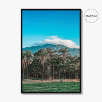 Caracas Fine Art Photo Print, Venezuela Wall Art, Avila Mountain Parque del Este