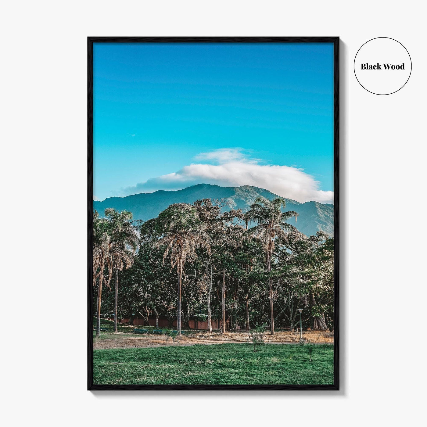 Caracas Fine Art Photo Print, Venezuela Wall Art, Avila Mountain Parque del Este