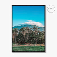 Caracas Fine Art Photo Print, Venezuela Wall Art, Avila Mountain Parque del Este