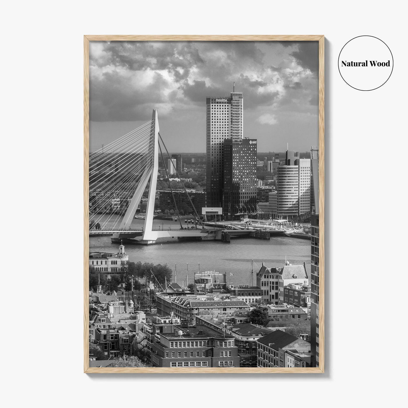 Rotterdam Skyline Black and White Fine Art Photo Print, Euromast South Holland Poster