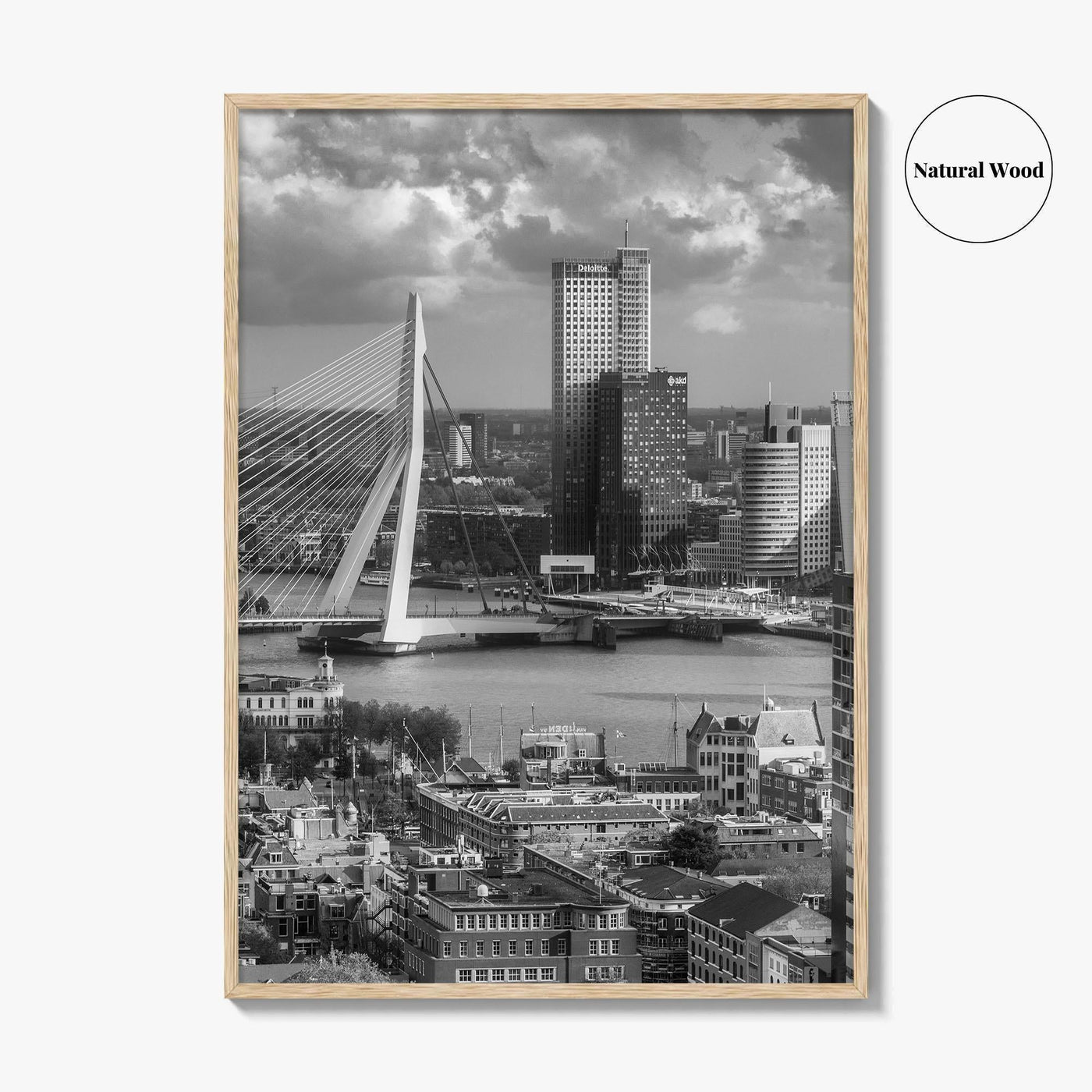Rotterdam Skyline Black and White Fine Art Photo Print, Euromast South Holland Poster
