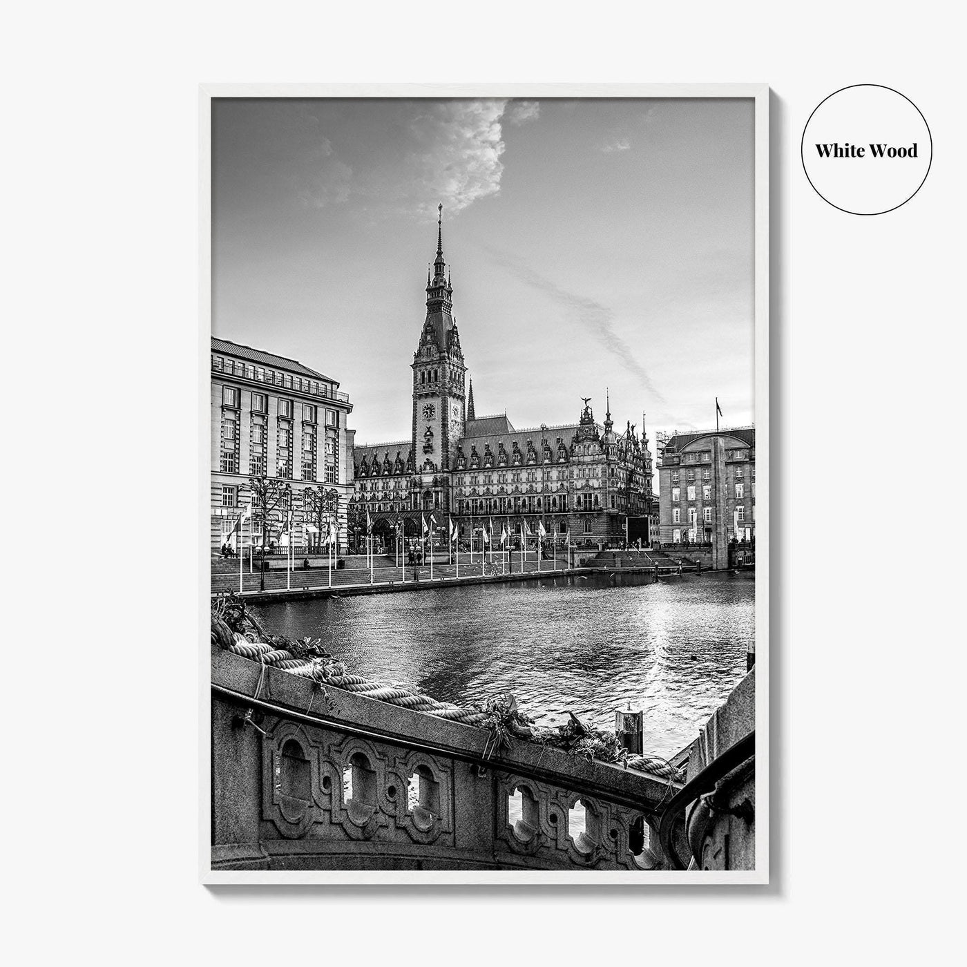 Hamburg Black and White Fine Art Photo Print, City Hall Rathaus, Germany Wall Poster