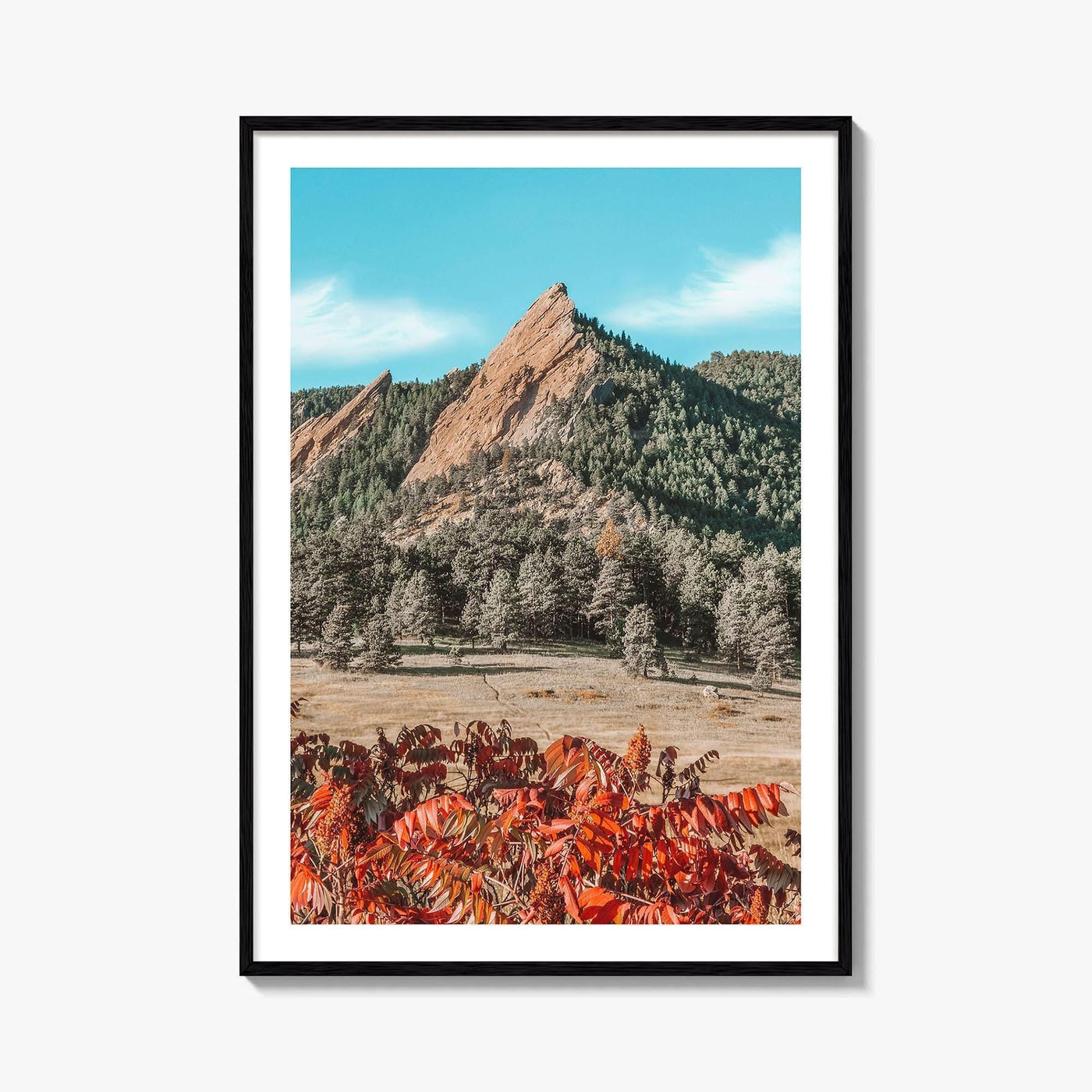 Boulder Fine Art Photo Print, Flatirons Colorado, Rocky Mountains, Autumn Foliage Poster