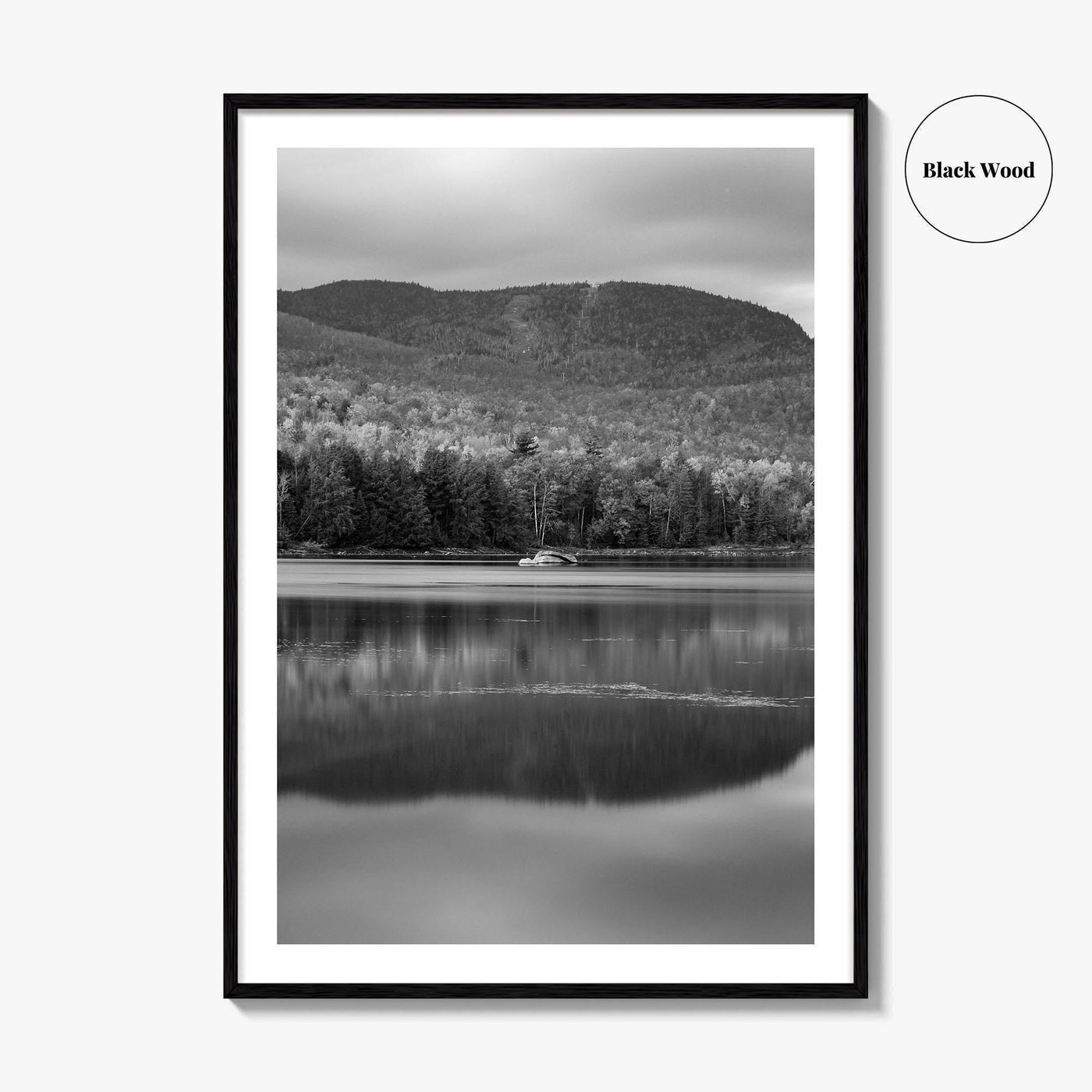 Loon Lake Black and White Fine Art Photo Print, Adirondack Mountains Poster