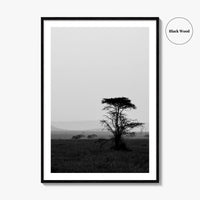 Serengeti Black and White Fine Art Photo Print, Tanzania Landscape Poster