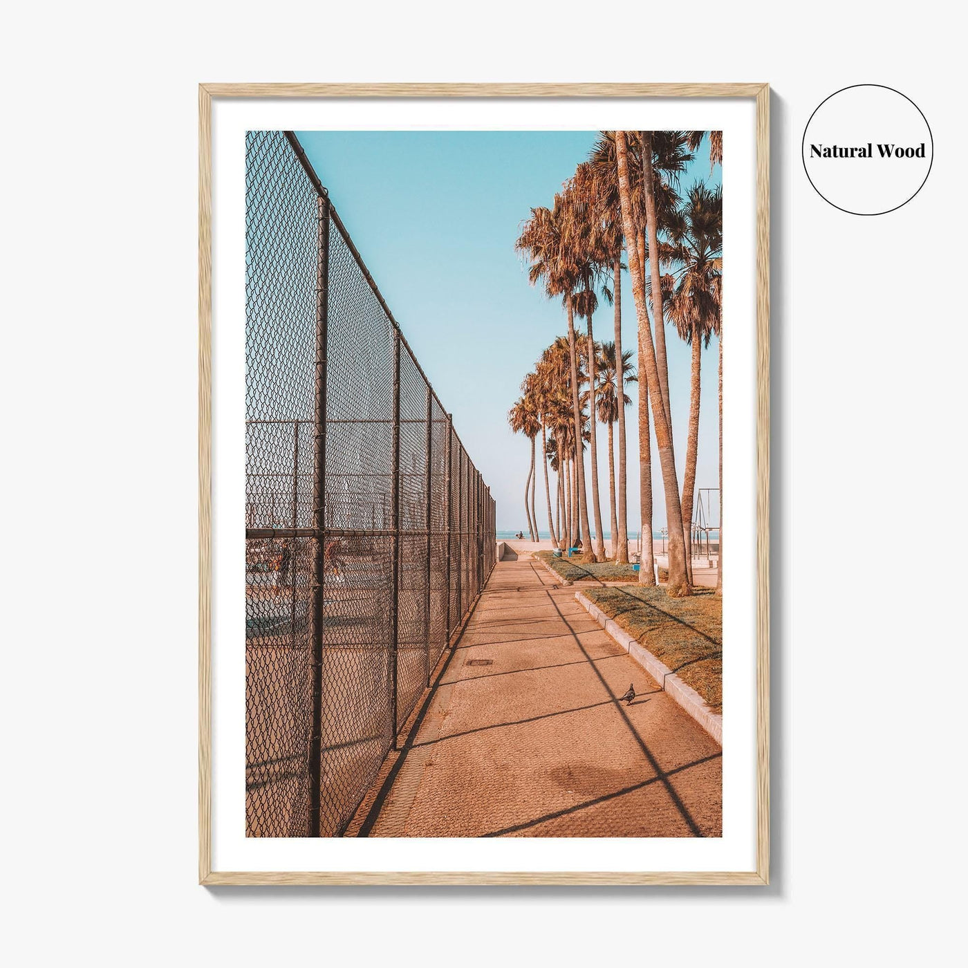 Los Angeles Fine Art Photo Print, Venice Beach, California, Palm Trees Photo Poster
