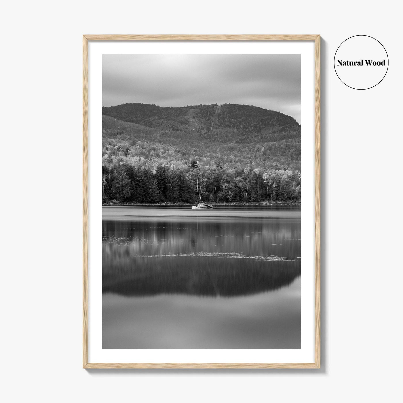 Loon Lake Black and White Fine Art Photo Print, Adirondack Mountains Poster