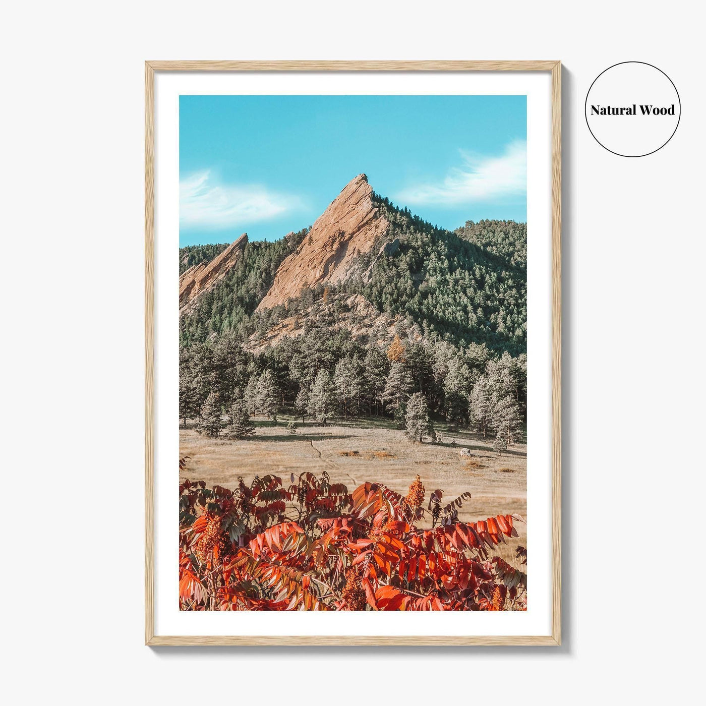 Boulder Fine Art Photo Print, Flatirons Colorado, Rocky Mountains, Autumn Foliage Poster