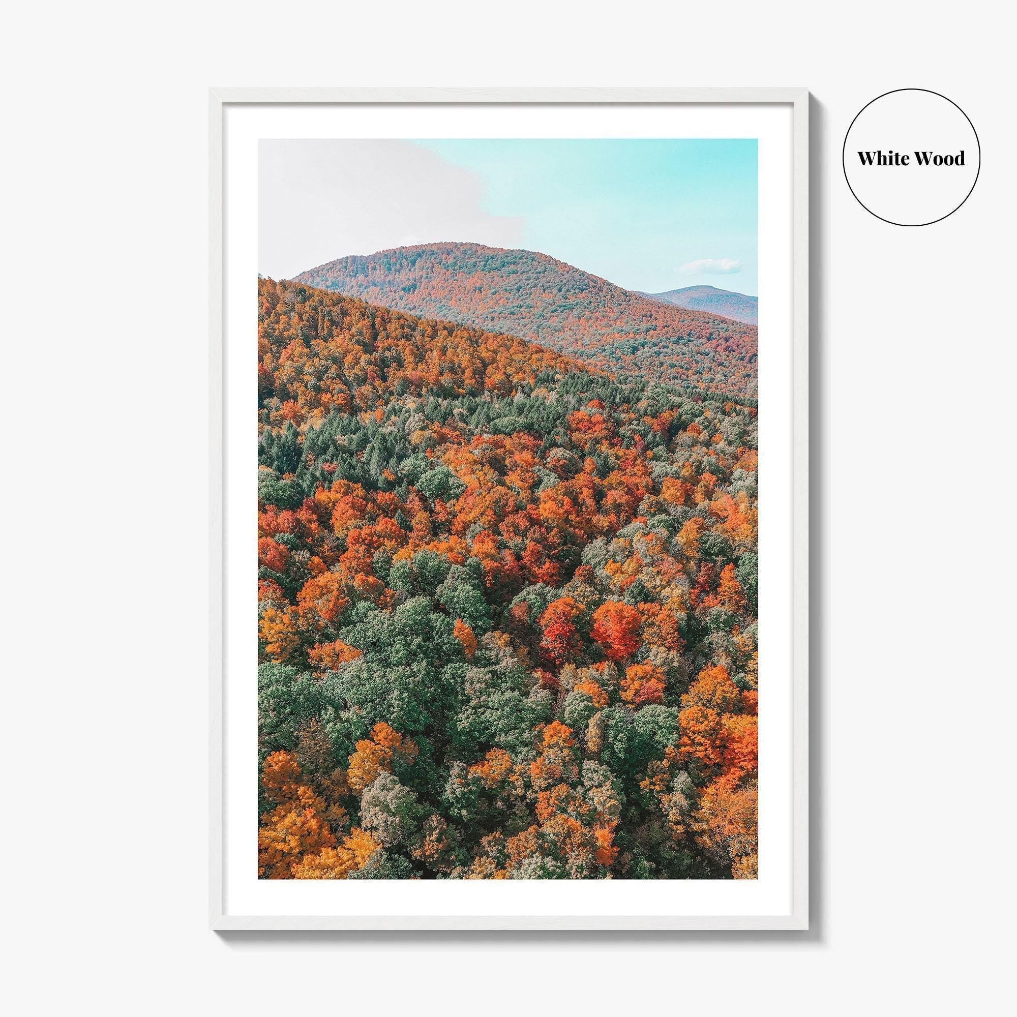 Catskill Mountains Fine Art Photo Print, Fall Foliage, Five State Lookout, New York
