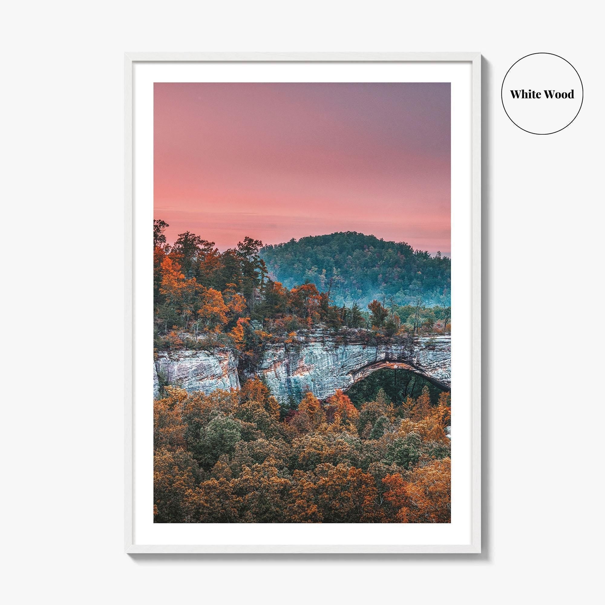 Daniel Boone National Forest Fine Art Photo Print, Natural Arch, Kentucky USA Poster