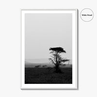 Serengeti Black and White Fine Art Photo Print, Tanzania Landscape Poster