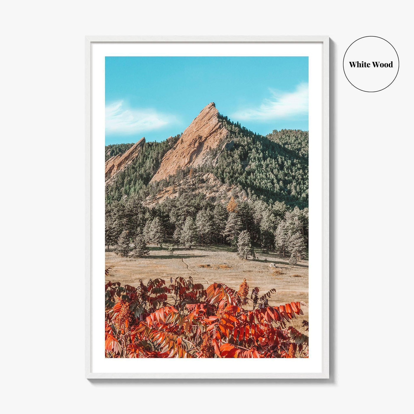 Boulder Fine Art Photo Print, Flatirons Colorado, Rocky Mountains, Autumn Foliage Poster