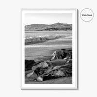 Cambria Black and White Fine Art Photo Print, California Central Coast Rocks Poster