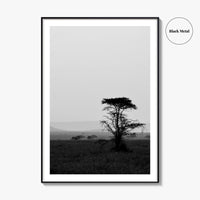 Serengeti Black and White Fine Art Photo Print, Tanzania Landscape Poster