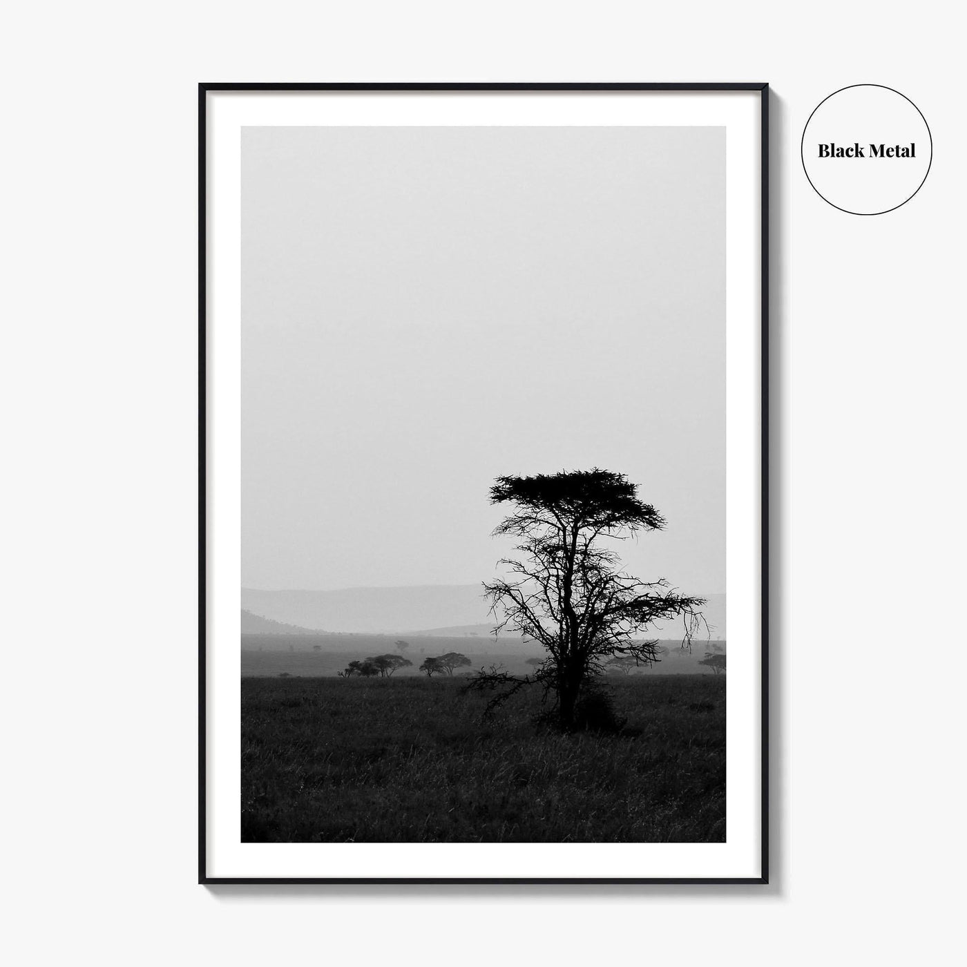 Serengeti Black and White Fine Art Photo Print, Tanzania Landscape Poster