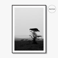 Serengeti Black and White Fine Art Photo Print, Tanzania Landscape Poster