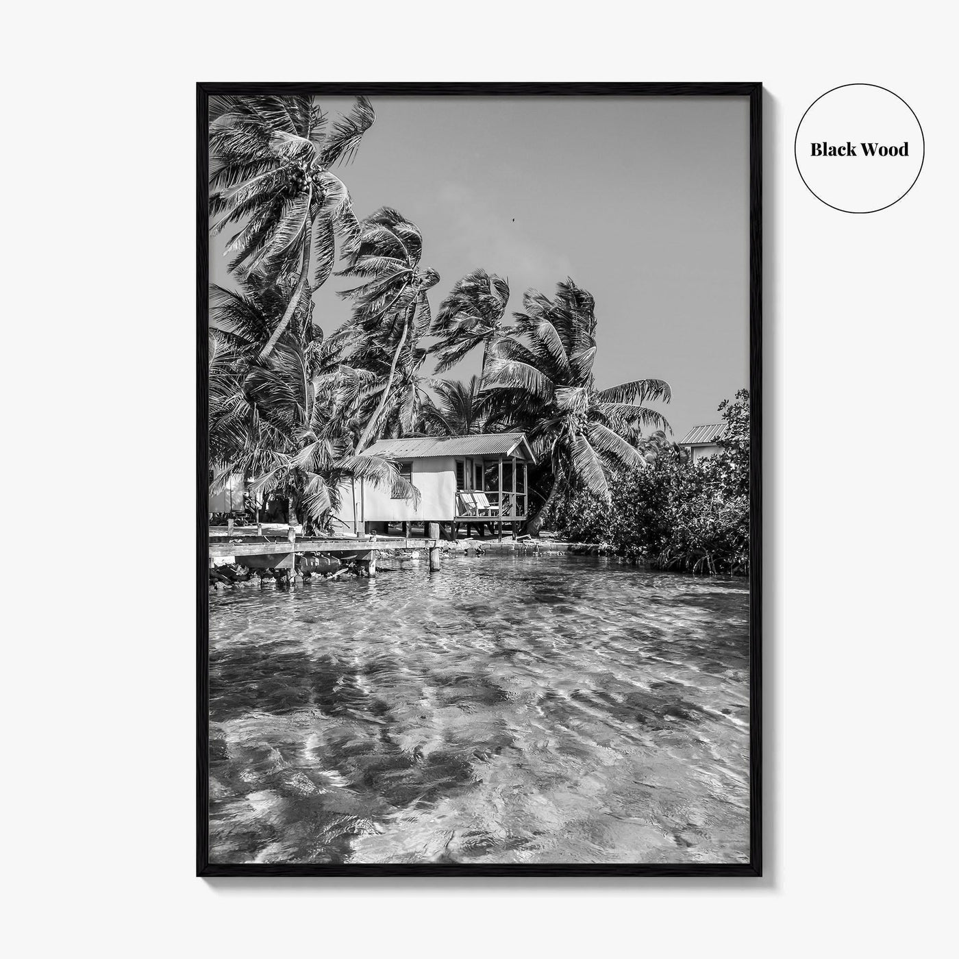 Tobacco Caye Black and White Fine Art Photo Print, Belize Barrier Reef, Caribbean, Poster