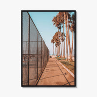 Los Angeles Fine Art Photo Print, Venice Beach, California, Palm Trees Photo Poster