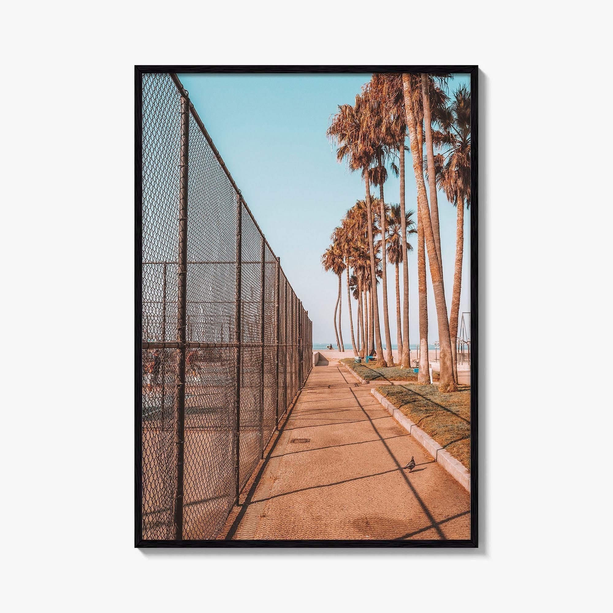 Los Angeles Fine Art Photo Print, Venice Beach, California, Palm Trees Photo Poster