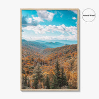 Great Smoky Mountains National Park Fine Art Photo Print, Newfound Pass Tennessee Poster