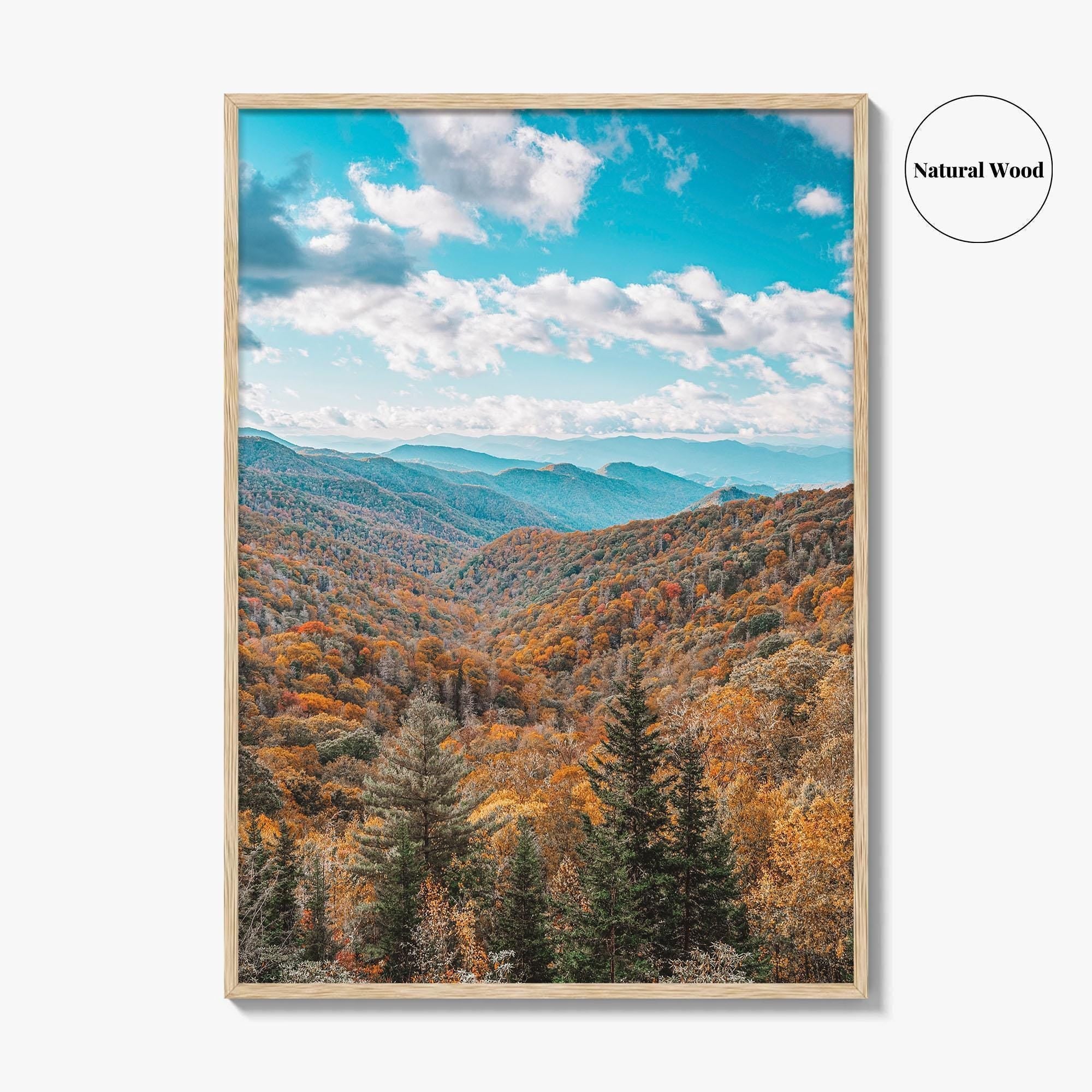 Great Smoky Mountains National Park Fine Art Photo Print, Newfound Pass Tennessee Poster