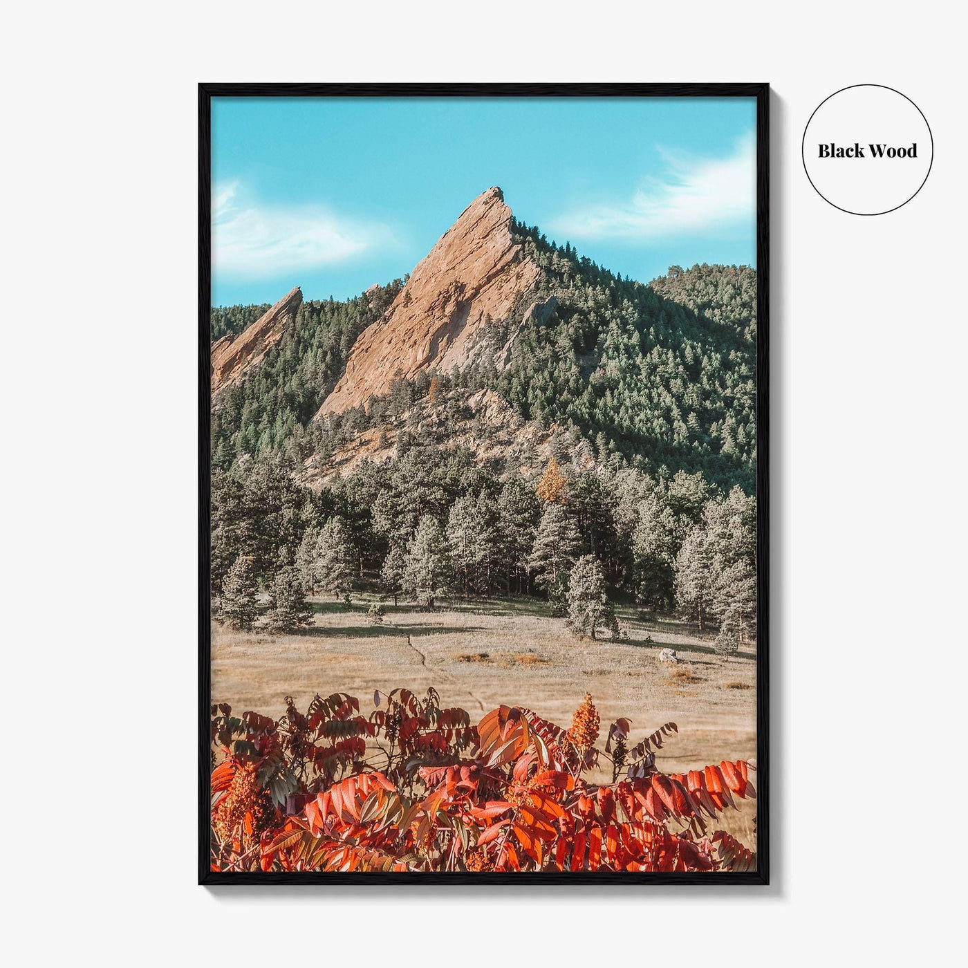 Boulder Fine Art Photo Print, Flatirons Colorado, Rocky Mountains, Autumn Foliage Poster