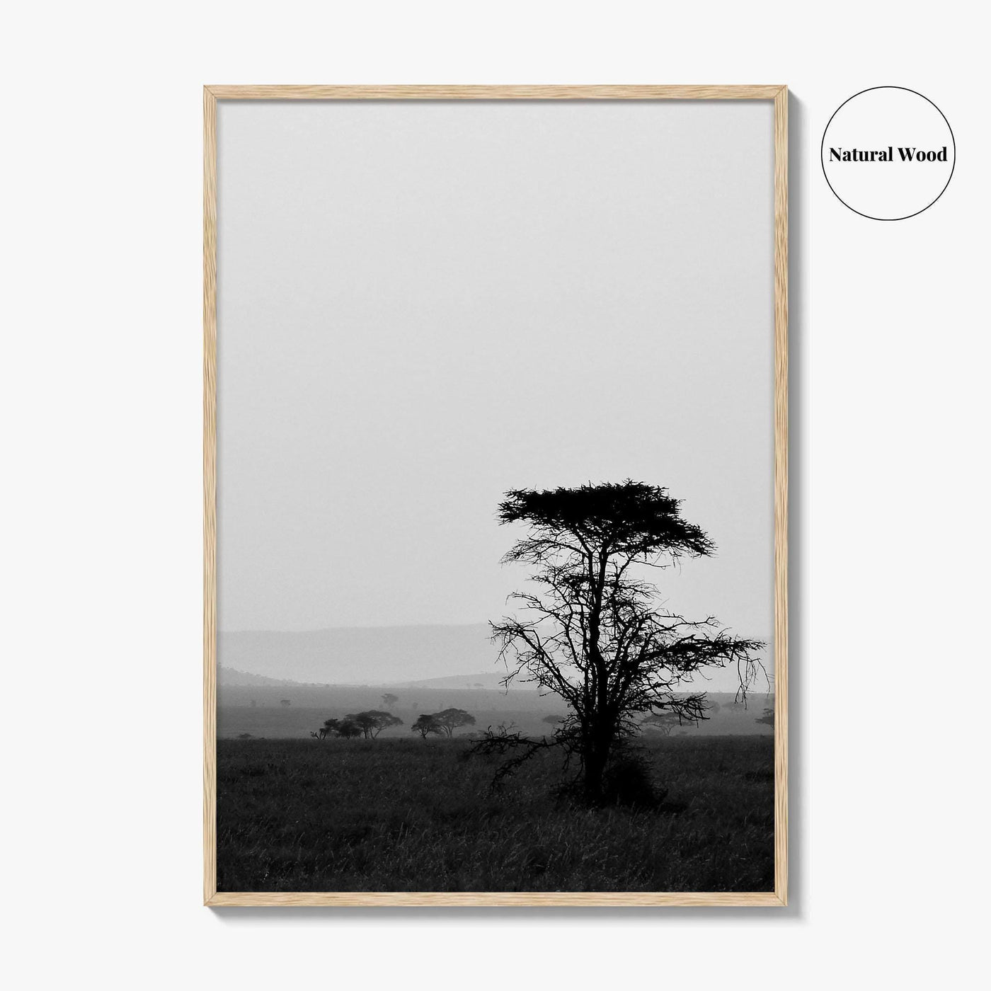 Serengeti Black and White Fine Art Photo Print, Tanzania Landscape Poster
