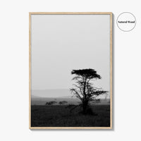 Serengeti Black and White Fine Art Photo Print, Tanzania Landscape Poster
