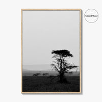 Serengeti Black and White Fine Art Photo Print, Tanzania Landscape Poster
