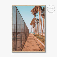 Los Angeles Fine Art Photo Print, Venice Beach, California, Palm Trees Photo Poster