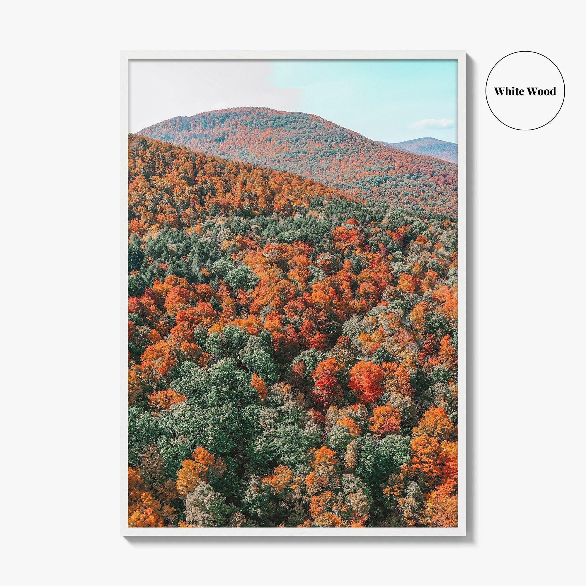Catskill Mountains Fine Art Photo Print, Fall Foliage, Five State Lookout, New York