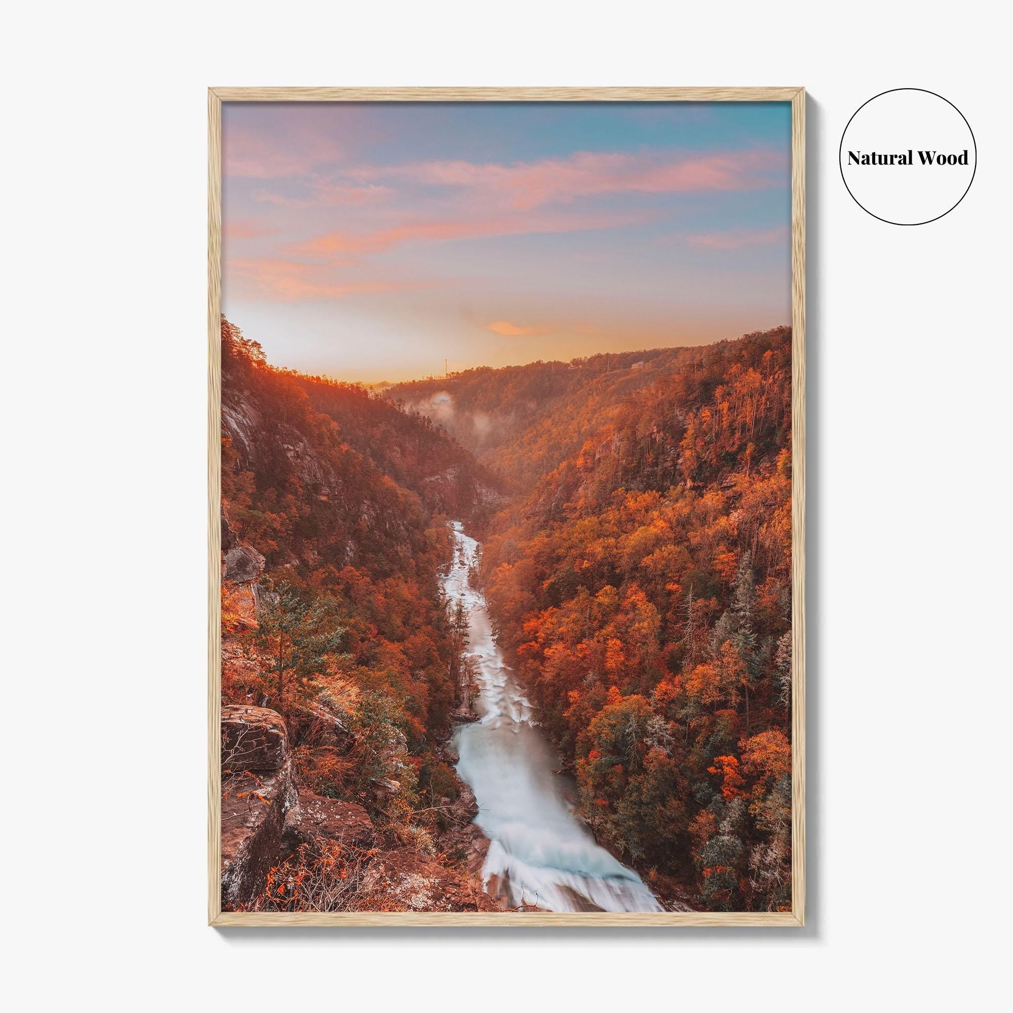 Tallulah Gorge State Park Fine Art Photo Print, Georgia, USA Wall Decor Poster