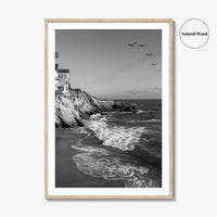 Southern California Black and White Fine Art Photo Print, Coastline Poster