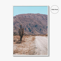 Saguaro National Park Fine Art Photo Print, Tucson Arizona USA Wall Decor Poster