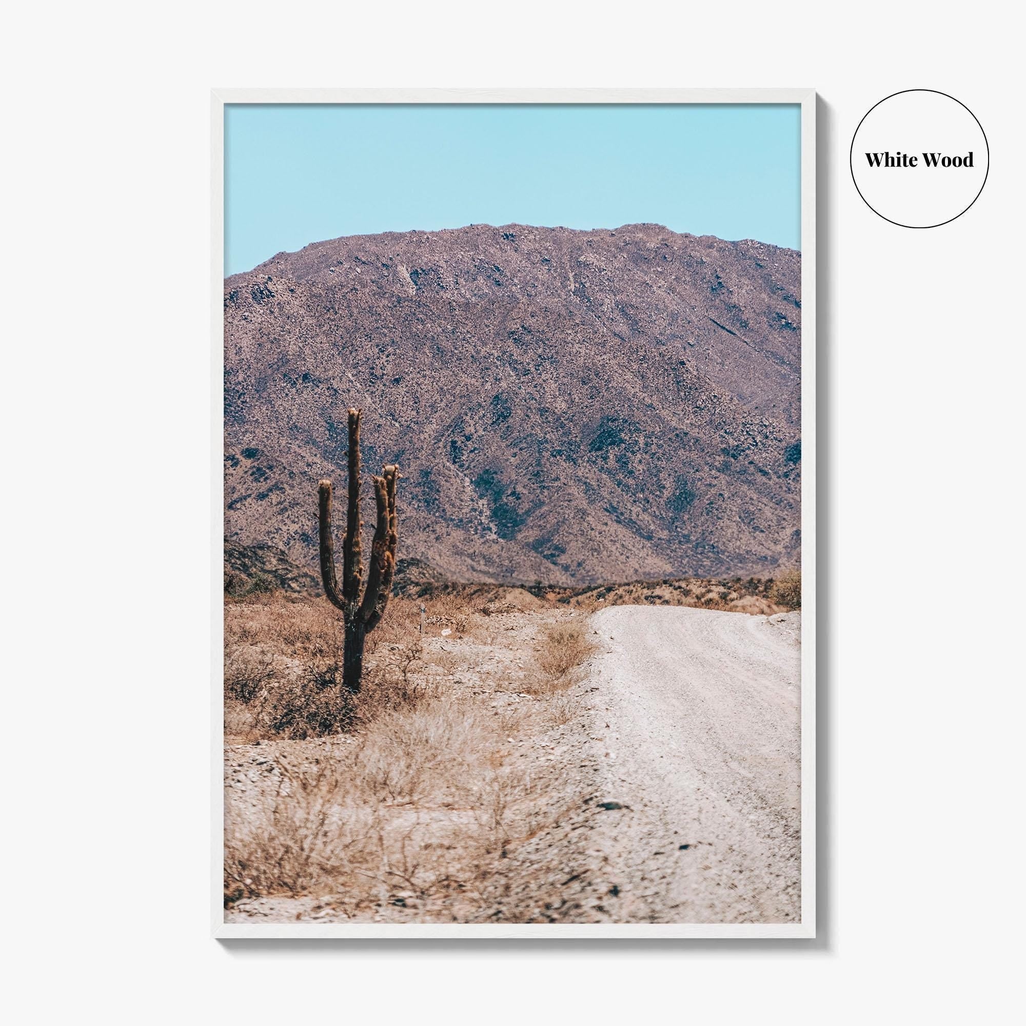 Saguaro National Park Fine Art Photo Print, Tucson Arizona USA Wall Decor Poster