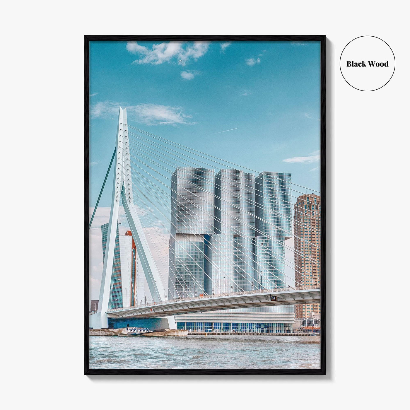 Rotterdam Fine Art Photo Print, Netherlands Wall Decor Poster, Erasmusbrug Swan Bridge, Harbor